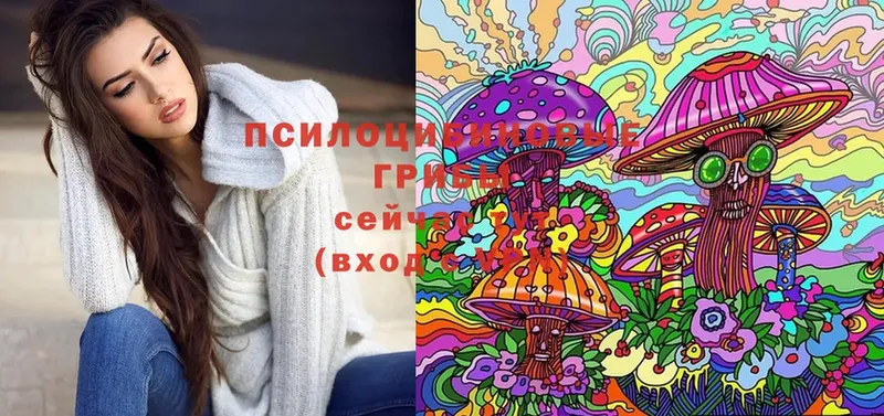 mega рабочий сайт  наркотики  Новороссийск  Галлюциногенные грибы Cubensis 